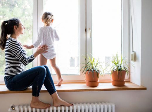 Plante Radiateur