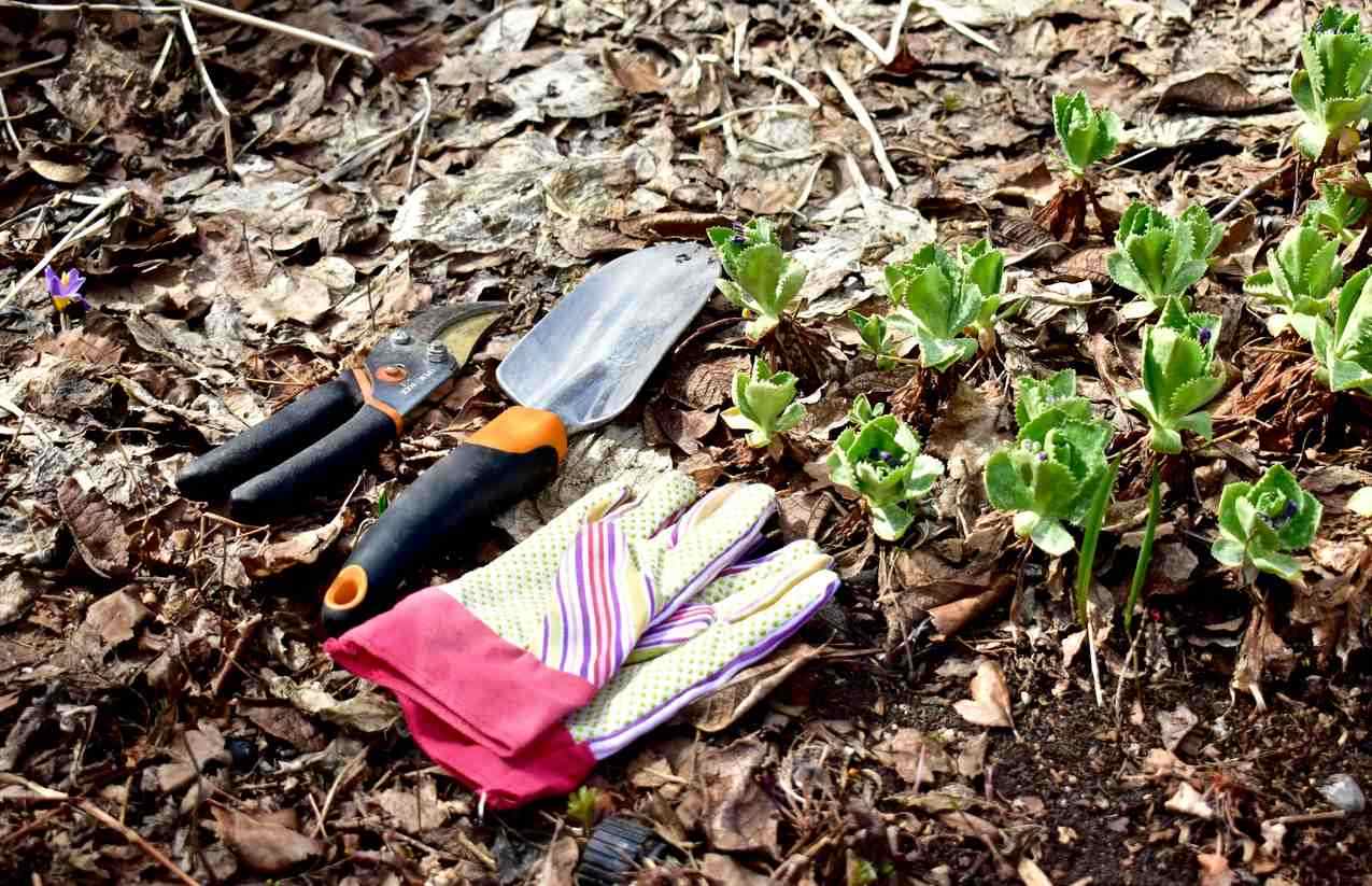 outils de jardinage en avril