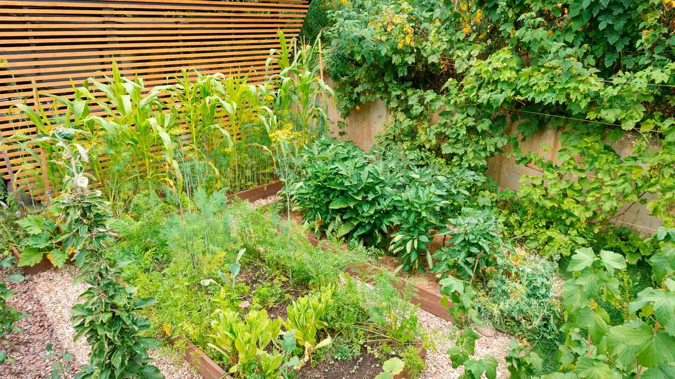 jardin en permaculture