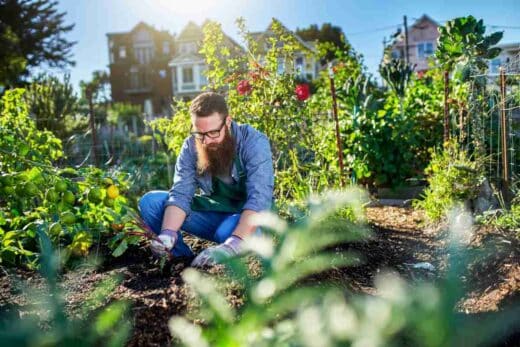 Preparer Jardin Avant Partir Vacances