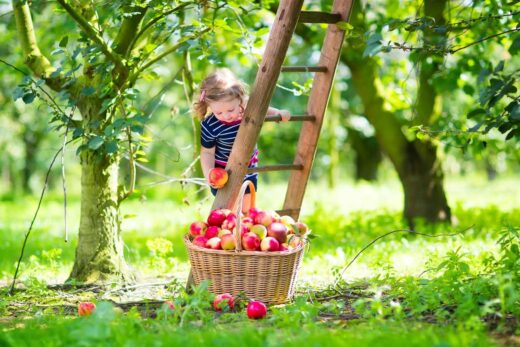 Jardin Septembre