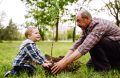 Planter Arbre Papy Senior Enfant Famille